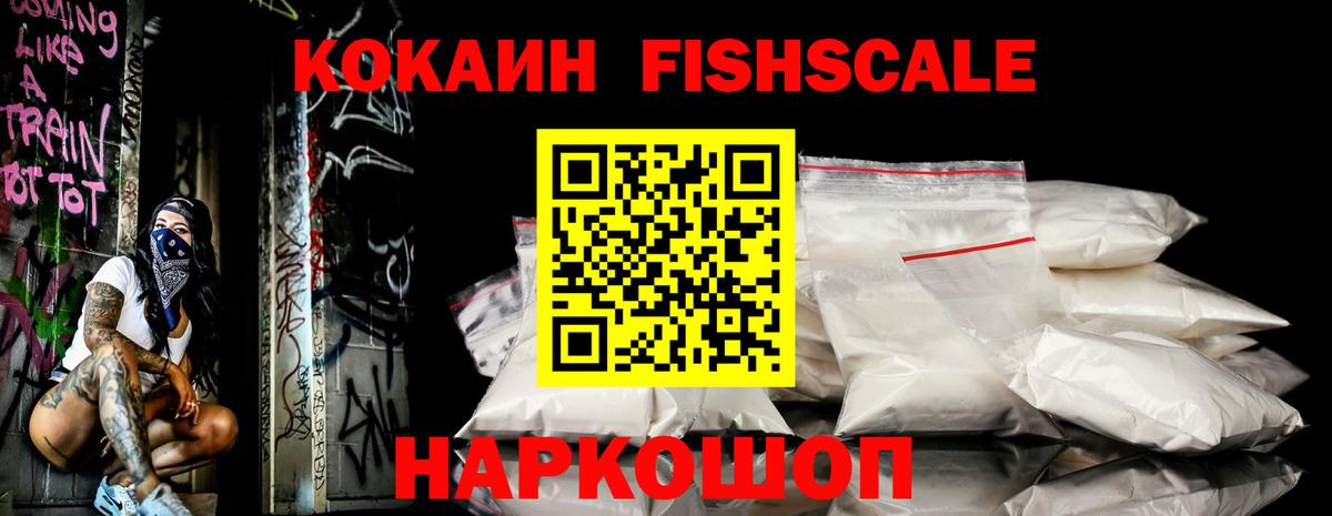 Кирово-Чепецк  COCAIN FishScale  Вход с VPN  COCAIN Fish Scale 